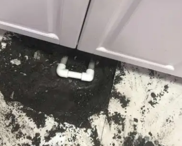 林甸查漏水哪家好